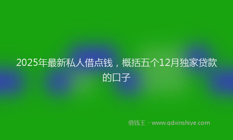 2025年最新私人借点钱，概括五个12月独家贷款的口子