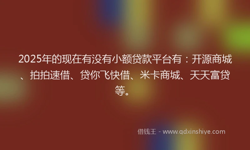2025年的现在有没有小额贷款平台有：开源商城、拍拍速借、贷你飞快借、米卡商城、天天富贷等。