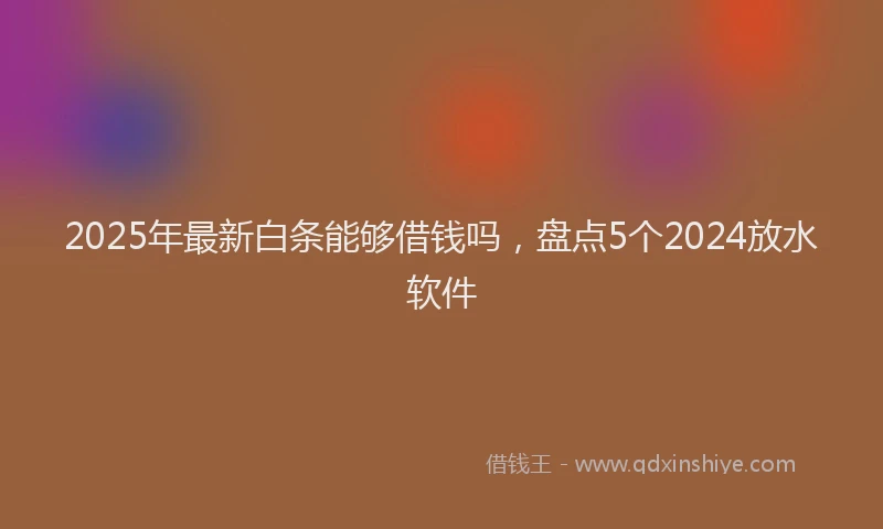 2025年最新白条能够借钱吗，盘点5个2024放水软件