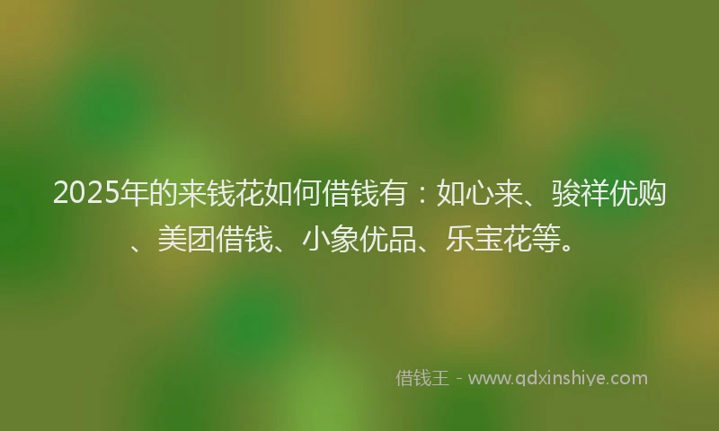 2025年的来钱花如何借钱有：如心来、骏祥优购、美团借钱、小象优品、乐宝花等。