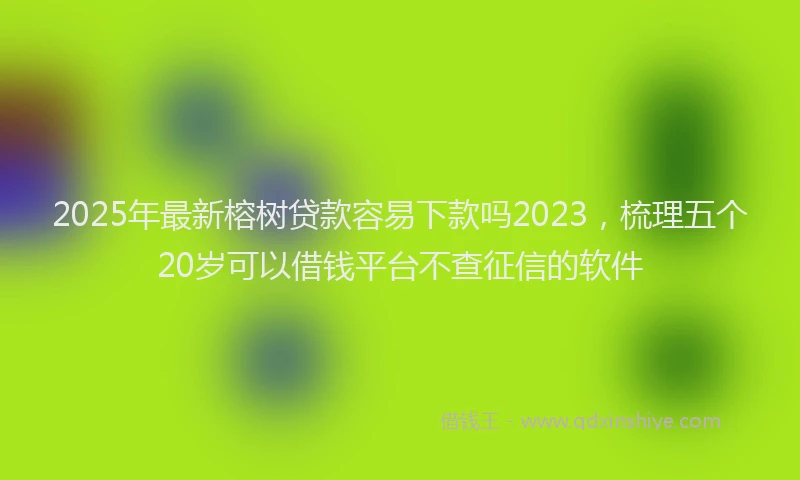 2025年最新榕树贷款容易下款吗2023，梳理五个20岁可以借钱平台不查征信的软件
