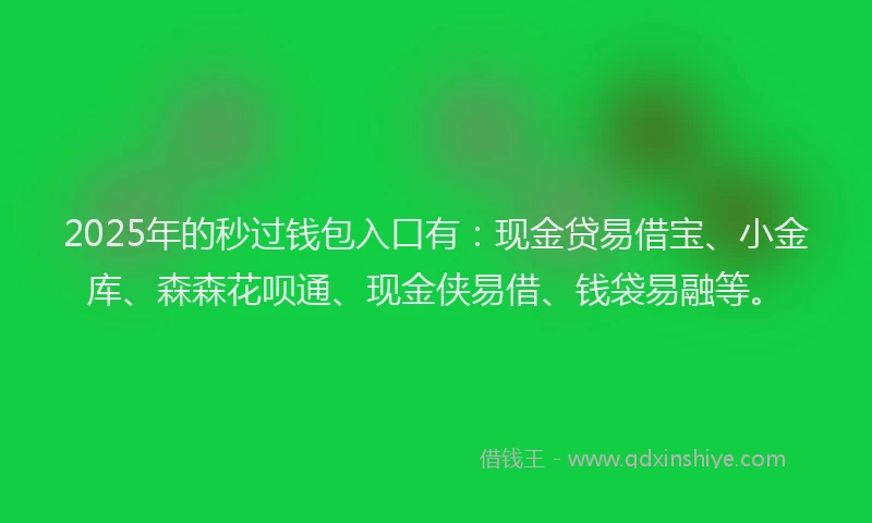 2025年的秒过钱包入口有：现金贷易借宝、小金库、森森花呗通、现金侠易借、钱袋易融等。