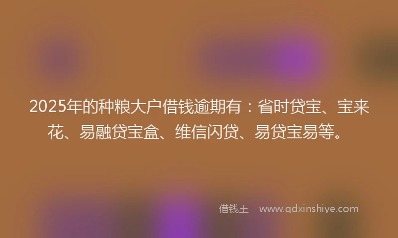 2025年的种粮大户借钱逾期有：省时贷宝、宝来花、易融贷宝盒、维信闪贷、易贷宝易等。