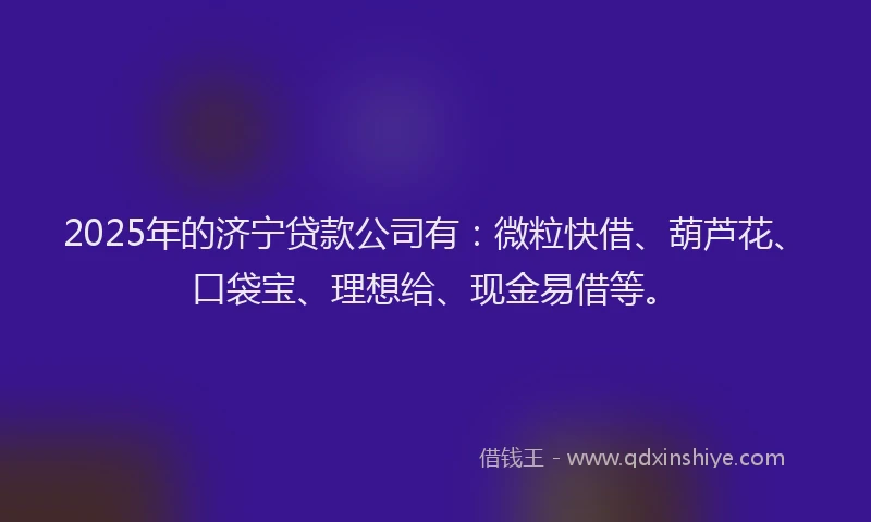 2025年的济宁贷款公司有：微粒快借、葫芦花、口袋宝、理想给、现金易借等。