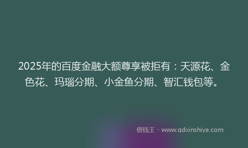 2025年的百度金融大额尊享被拒有：天源花、金色花、玛瑙分期、小金鱼分期、智汇钱包等。