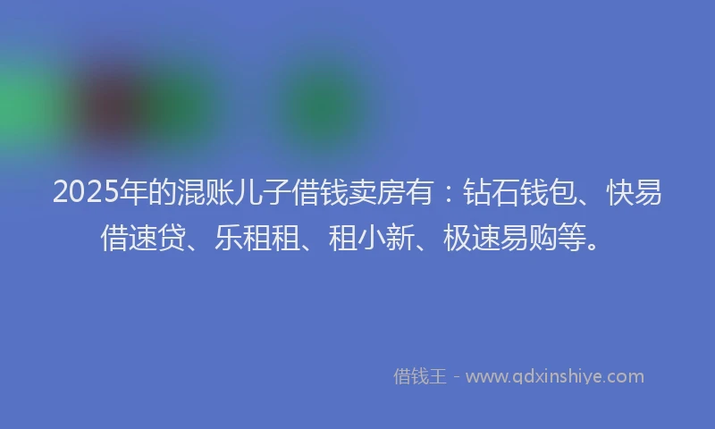 2025年的混账儿子借钱卖房有：钻石钱包、快易借速贷、乐租租、租小新、极速易购等。
