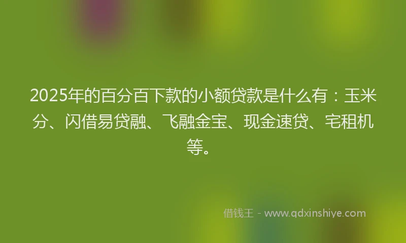 2025年的百分百下款的小额贷款是什么有：玉米分、闪借易贷融、飞融金宝、现金速贷、宅租机等。