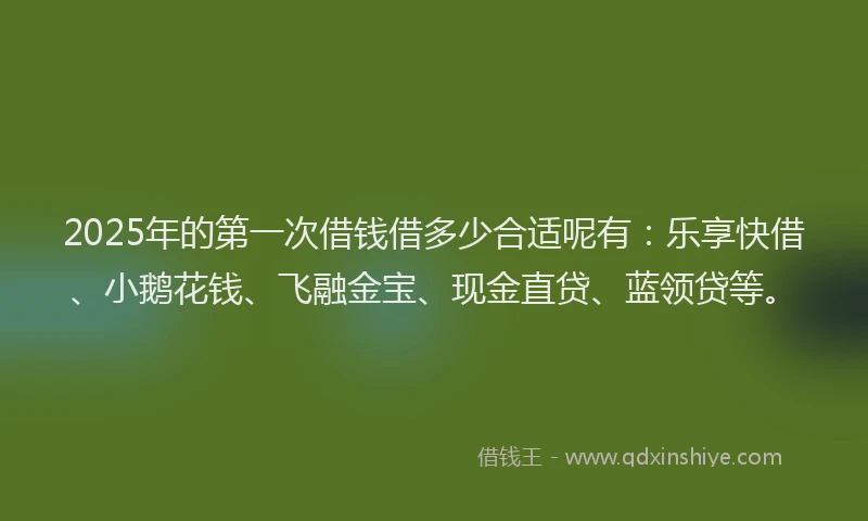 2025年的第一次借钱借多少合适呢有：乐享快借、小鹅花钱、飞融金宝、现金直贷、蓝领贷等。