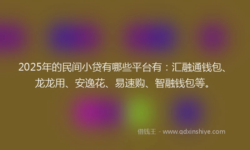 2025年的民间小贷有哪些平台有：汇融通钱包、龙龙用、安逸花、易速购、智融钱包等。