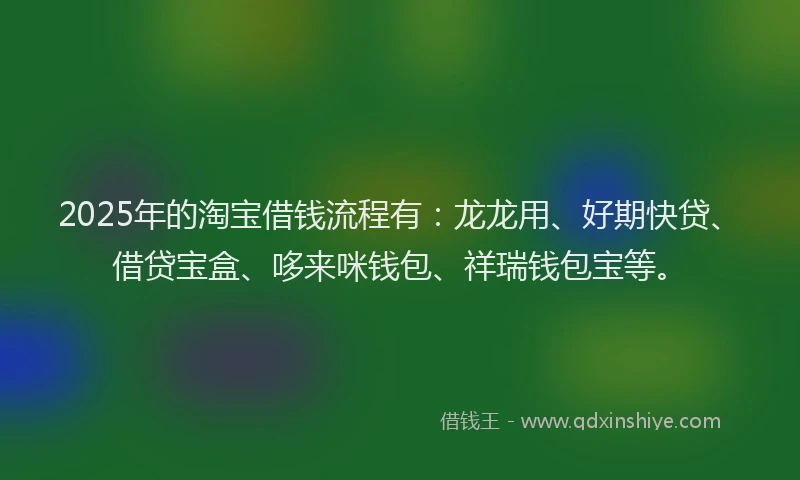 2025年的淘宝借钱流程有：龙龙用、好期快贷、借贷宝盒、哆来咪钱包、祥瑞钱包宝等。