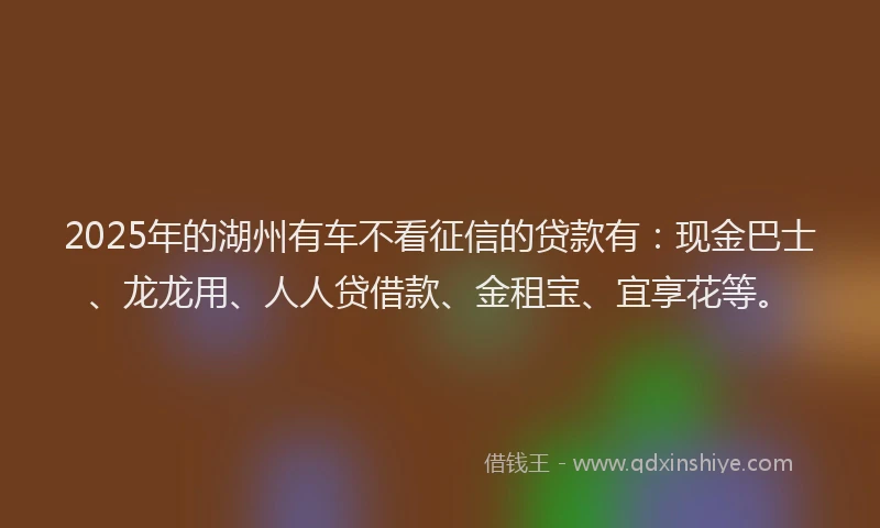 2025年的湖州有车不看征信的贷款有：现金巴士、龙龙用、人人贷借款、金租宝、宜享花等。