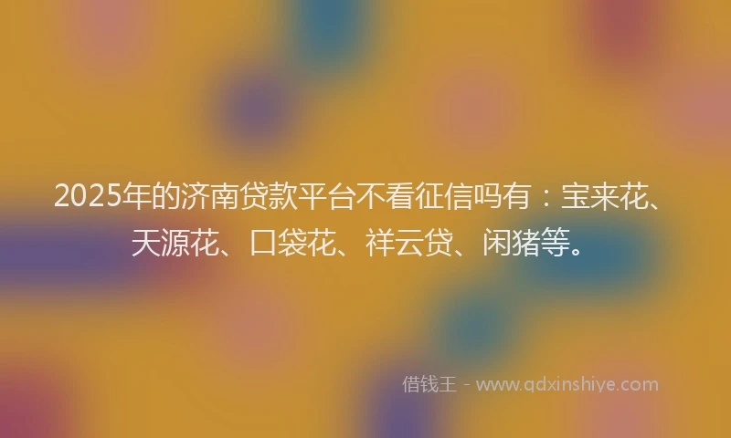 2025年的济南贷款平台不看征信吗有：宝来花、天源花、口袋花、祥云贷、闲猪等。