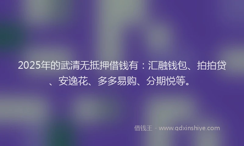 2025年的武清无抵押借钱有：汇融钱包、拍拍贷、安逸花、多多易购、分期悦等。