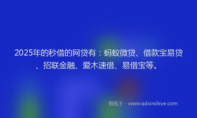 2025年的秒借的网贷有：蚂蚁微贷、借款宝易贷、招联金融、爱木速借、易借宝等。