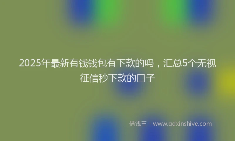 2025年最新有钱钱包有下款的吗，汇总5个无视征信秒下款的口子