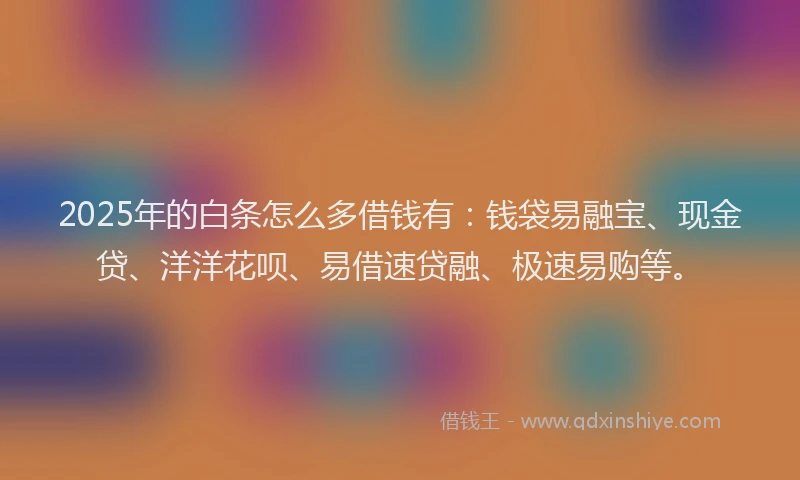2025年的白条怎么多借钱有：钱袋易融宝、现金贷、洋洋花呗、易借速贷融、极速易购等。