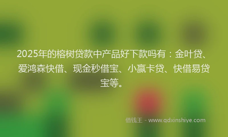 2025年的榕树贷款中产品好下款吗有：金叶贷、爱鸿森快借、现金秒借宝、小赢卡贷、快借易贷宝等。