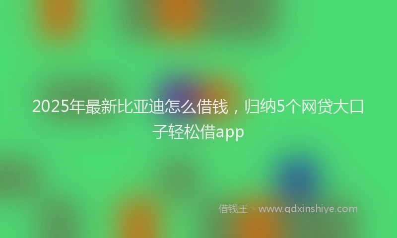 2025年最新比亚迪怎么借钱，归纳5个网贷大口子轻松借app