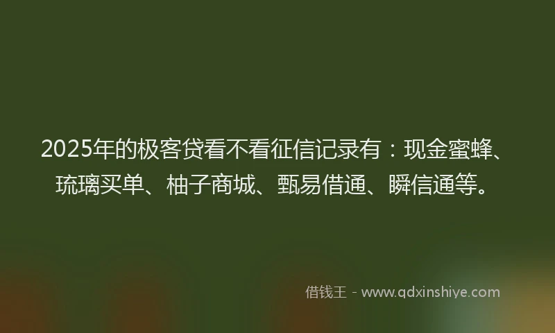 2025年的极客贷看不看征信记录有：现金蜜蜂、琉璃买单、柚子商城、甄易借通、瞬信通等。