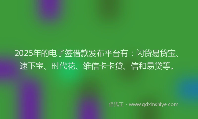 2025年的电子签借款发布平台有：闪贷易贷宝、速下宝、时代花、维信卡卡贷、信和易贷等。