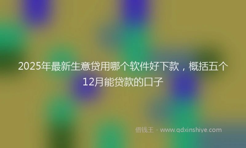 2025年最新生意贷用哪个软件好下款，概括五个12月能贷款的口子