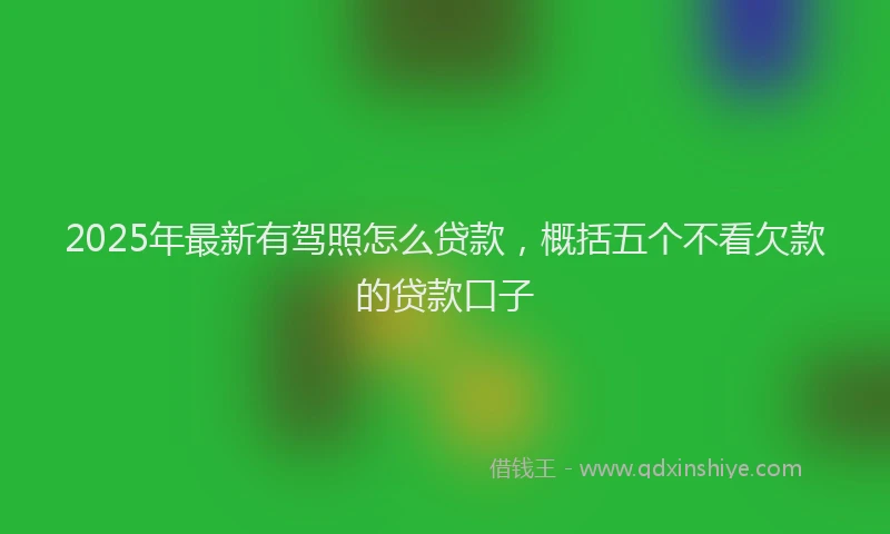 2025年最新有驾照怎么贷款，概括五个不看欠款的贷款口子