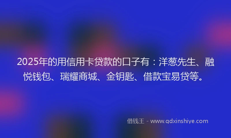 2025年的用信用卡贷款的口子有：洋葱先生、融悦钱包、瑞耀商城、金钥匙、借款宝易贷等。