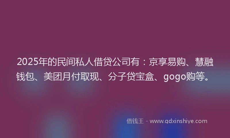 2025年的民间私人借贷公司有：京享易购、慧融钱包、美团月付取现、分子贷宝盒、gogo购等。