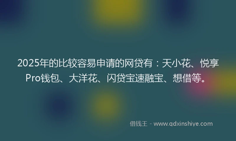 2025年的比较容易申请的网贷有：天小花、悦享Pro钱包、大洋花、闪贷宝速融宝、想借等。