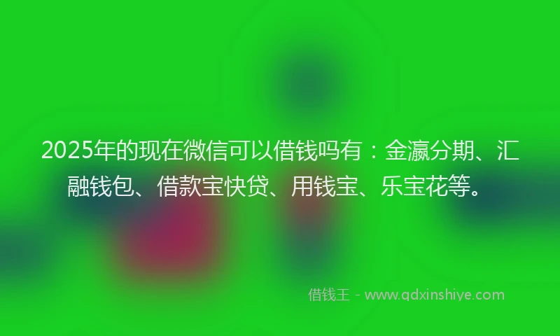 2025年的现在微信可以借钱吗有：金瀛分期、汇融钱包、借款宝快贷、用钱宝、乐宝花等。