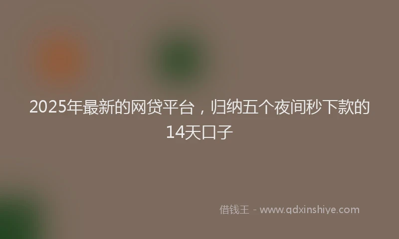 2025年最新的网贷平台，归纳五个夜间秒下款的14天口子