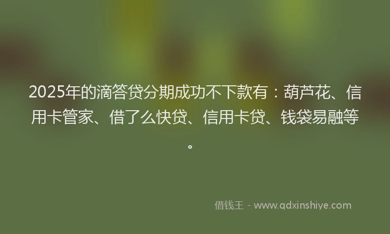 2025年的滴答贷分期成功不下款有：葫芦花、信用卡管家、借了么快贷、信用卡贷、钱袋易融等。