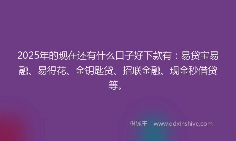 2025年的现在还有什么口子好下款有：易贷宝易融、易得花、金钥匙贷、招联金融、现金秒借贷等。