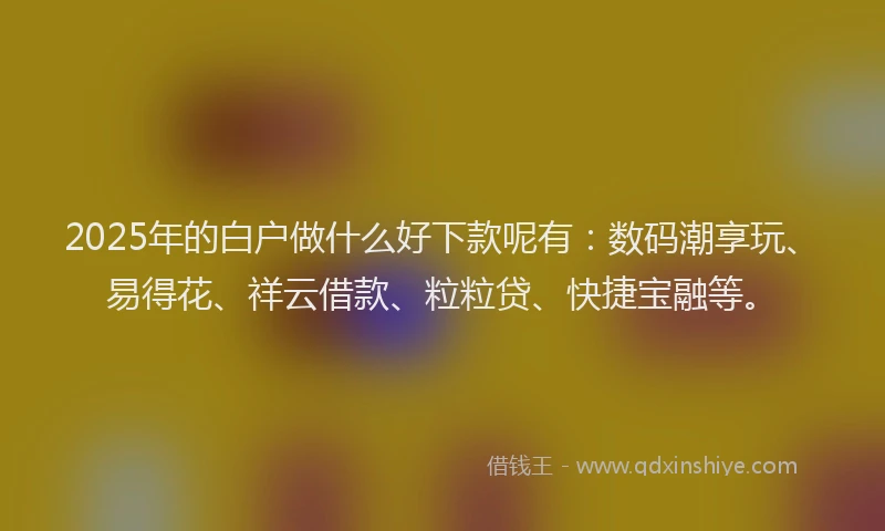 2025年的白户做什么好下款呢有：数码潮享玩、易得花、祥云借款、粒粒贷、快捷宝融等。