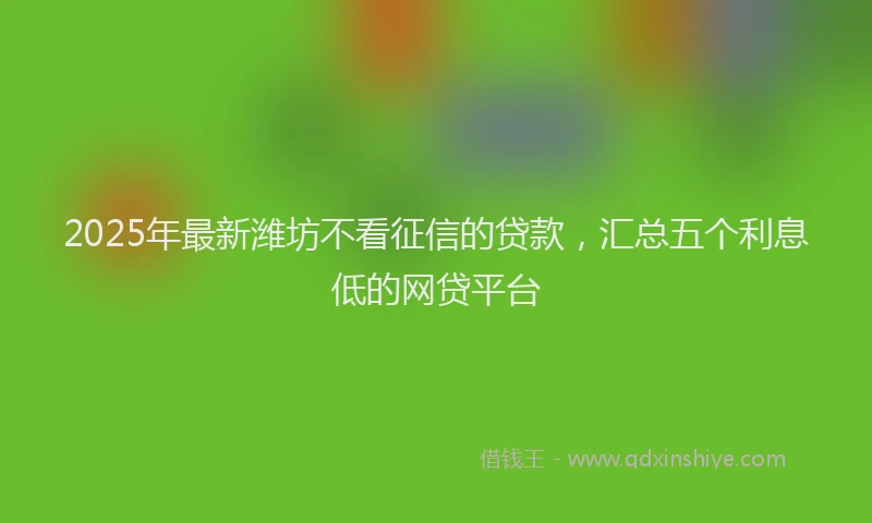 2025年最新潍坊不看征信的贷款，汇总五个利息低的网贷平台