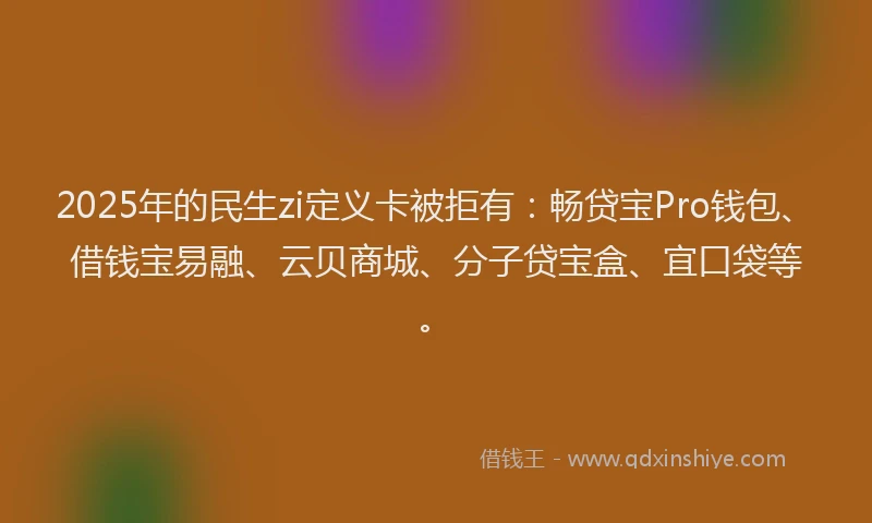 2025年的民生zi定义卡被拒有：畅贷宝Pro钱包、借钱宝易融、云贝商城、分子贷宝盒、宜口袋等。