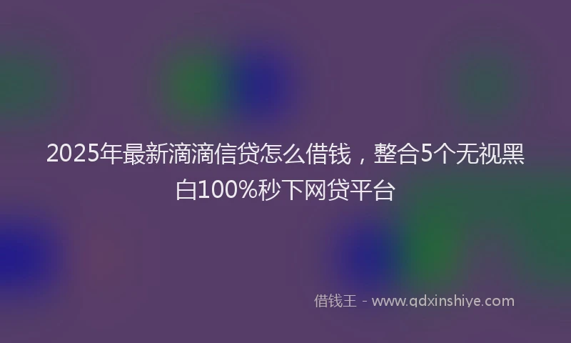 2025年最新滴滴信贷怎么借钱，整合5个无视黑白100%秒下网贷平台