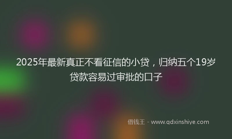 2025年最新真正不看征信的小贷，归纳五个19岁贷款容易过审批的口子