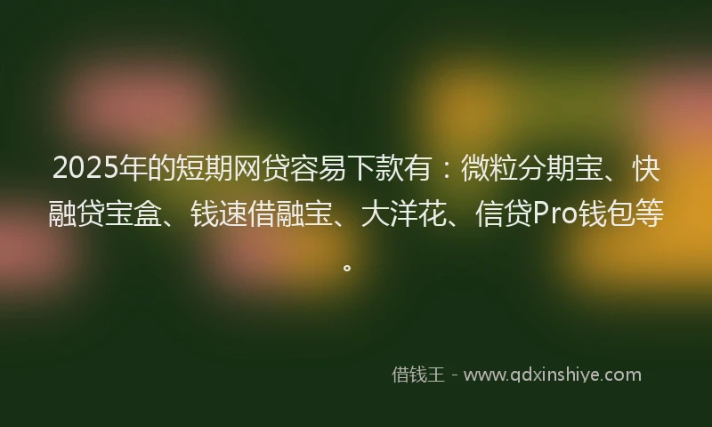 2025年的短期网贷容易下款有：微粒分期宝、快融贷宝盒、钱速借融宝、大洋花、信贷Pro钱包等。