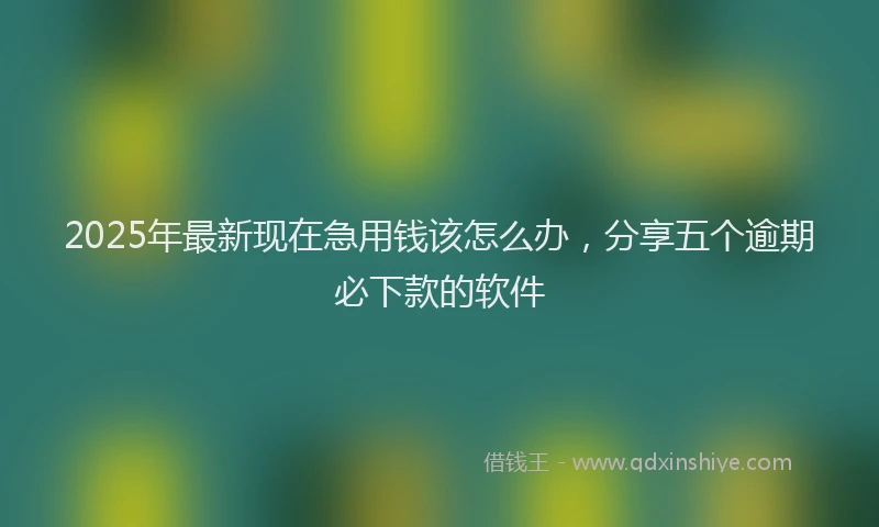 2025年最新现在急用钱该怎么办，分享五个逾期必下款的软件