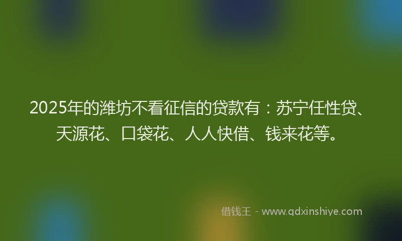 2025年的潍坊不看征信的贷款有：苏宁任性贷、天源花、口袋花、人人快借、钱来花等。