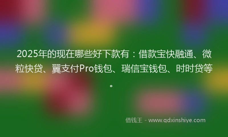 2025年的现在哪些好下款有：借款宝快融通、微粒快贷、翼支付Pro钱包、瑞信宝钱包、时时贷等。