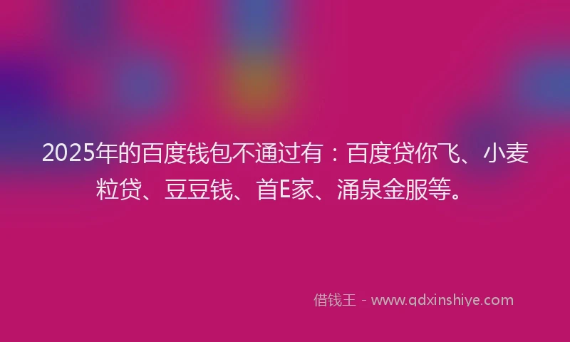 2025年的百度钱包不通过有：百度贷你飞、小麦粒贷、豆豆钱、首E家、涌泉金服等。