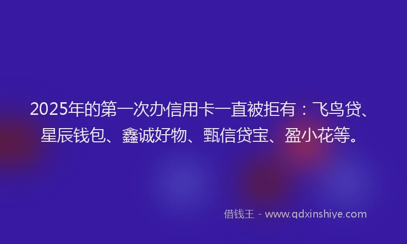 2025年的第一次办信用卡一直被拒有：飞鸟贷、星辰钱包、鑫诚好物、甄信贷宝、盈小花等。