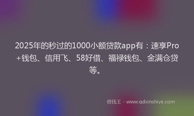 2025年的秒过的1000小额贷款app有：速享Pro+钱包、信用飞、58好借、福禄钱包、金满仓贷等。