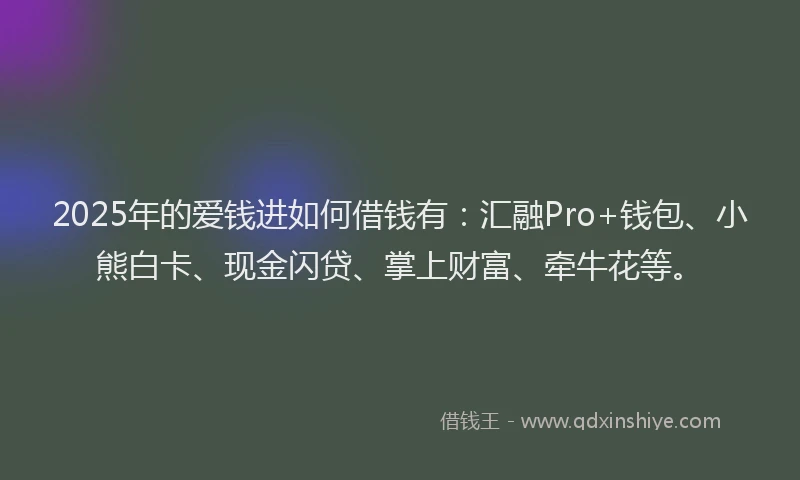 2025年的爱钱进如何借钱有：汇融Pro+钱包、小熊白卡、现金闪贷、掌上财富、牵牛花等。