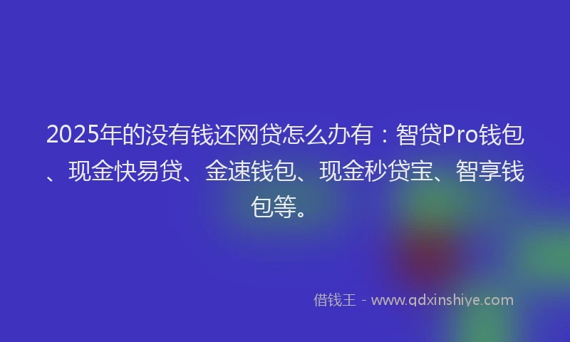 2025年的没有钱还网贷怎么办有：智贷Pro钱包、现金快易贷、金速钱包、现金秒贷宝、智享钱包等。