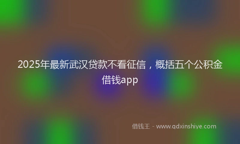 2025年最新武汉贷款不看征信，概括五个公积金借钱app