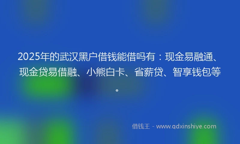 2025年的武汉黑户借钱能借吗有：现金易融通、现金贷易借融、小熊白卡、省薪贷、智享钱包等。