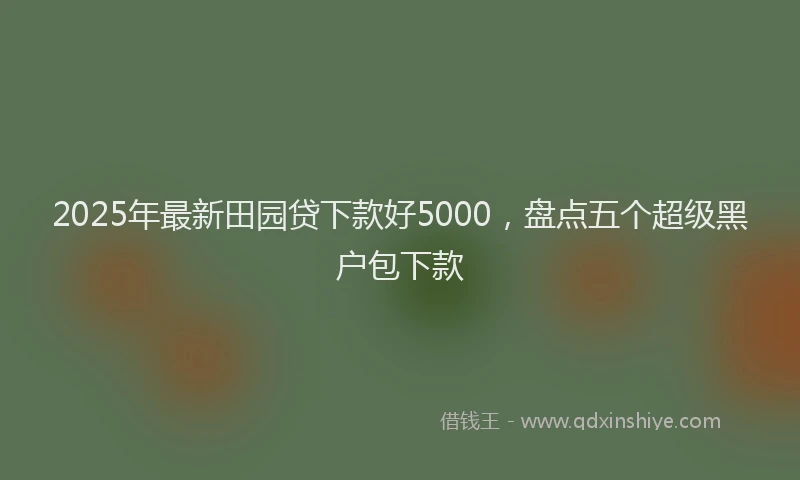 2025年最新田园贷下款好5000，盘点五个超级黑户包下款